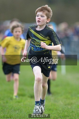 Dyfed Primary Schools Cross Country Year 3 Boys