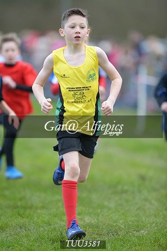 Dyfed Primary Schools Cross Country Year 3 Boys