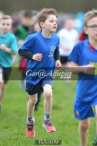 Dyfed Primary Schools Cross Country Year 3 Boys