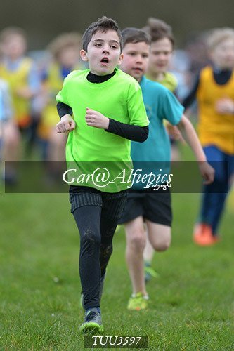 Dyfed Primary Schools Cross Country Year 3 Boys