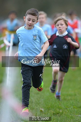 Dyfed Primary Schools Cross Country Year 3 Boys
