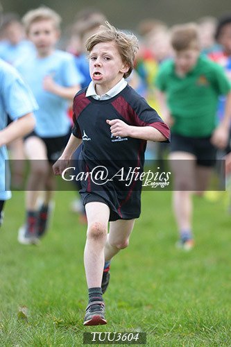 Dyfed Primary Schools Cross Country Year 3 Boys
