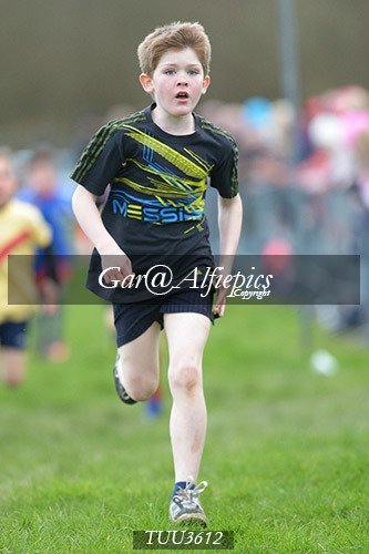 Dyfed Primary Schools Cross Country Year 3 Boys