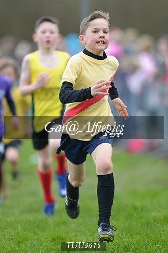 Dyfed Primary Schools Cross Country Year 3 Boys