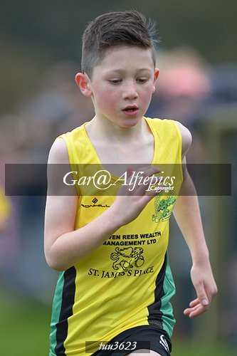 Dyfed Primary Schools Cross Country Year 3 Boys