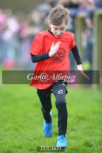 Dyfed Primary Schools Cross Country Year 3 Boys