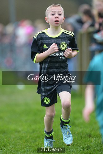 Dyfed Primary Schools Cross Country Year 3 Boys