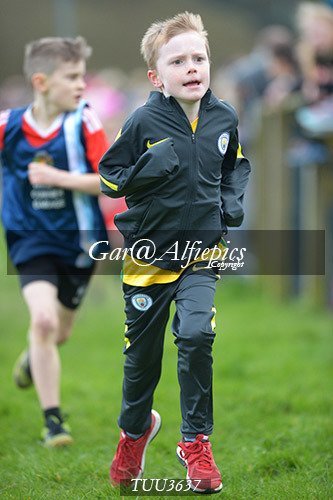 Dyfed Primary Schools Cross Country Year 3 Boys