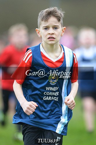 Dyfed Primary Schools Cross Country Year 3 Boys