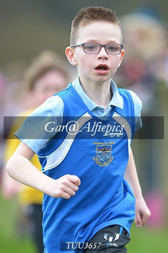 Dyfed Primary Schools Cross Country Year 3 Boys