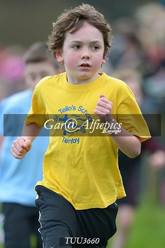 Dyfed Primary Schools Cross Country Year 3 Boys