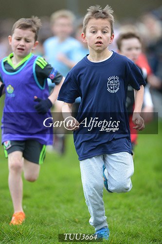 Dyfed Primary Schools Cross Country Year 3 Boys
