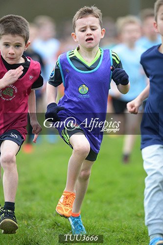 Dyfed Primary Schools Cross Country Year 3 Boys