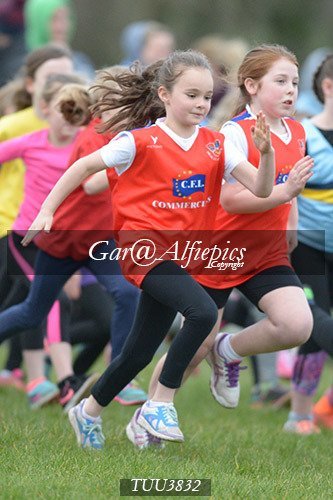 Dyfed Primary Schools Cross Country Year 4 Girls