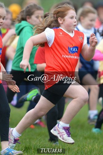 Dyfed Primary Schools Cross Country Year 4 Girls