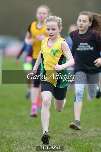 Dyfed Primary Schools Cross Country Year 4 Girls