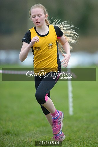 Dyfed Primary Schools Cross Country Year 4 Girls