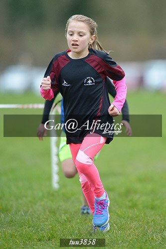 Dyfed Primary Schools Cross Country Year 4 Girls