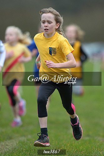 Dyfed Primary Schools Cross Country Year 4 Girls