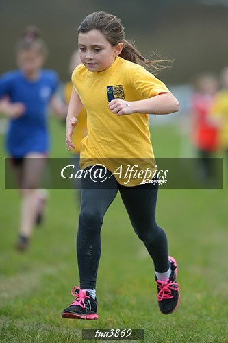Dyfed Primary Schools Cross Country Year 4 Girls