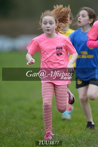 Dyfed Primary Schools Cross Country Year 4 Girls