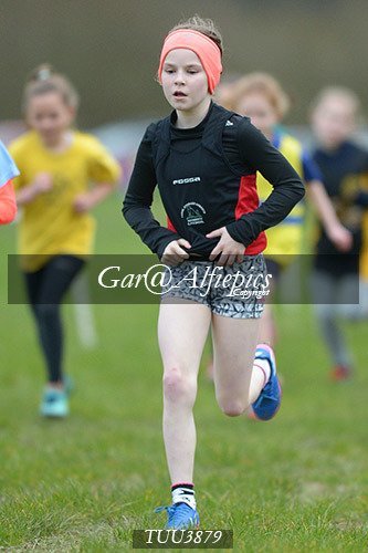 Dyfed Primary Schools Cross Country Year 4 Girls