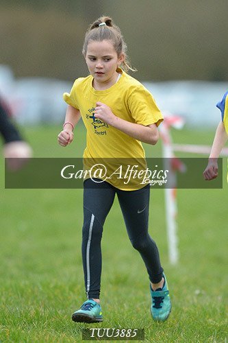 Dyfed Primary Schools Cross Country Year 4 Girls