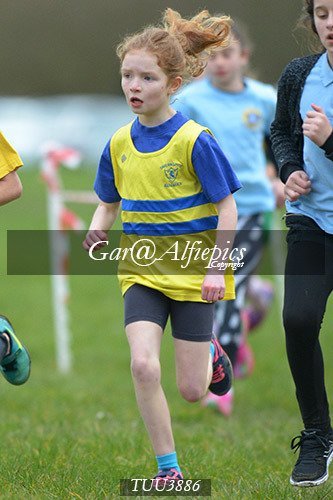Dyfed Primary Schools Cross Country Year 4 Girls