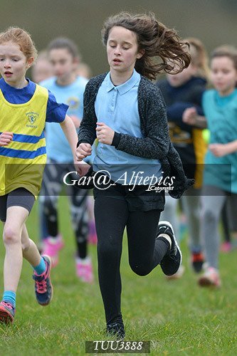 Dyfed Primary Schools Cross Country Year 4 Girls