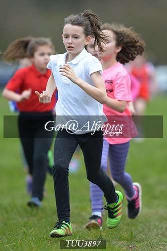 Dyfed Primary Schools Cross Country Year 4 Girls