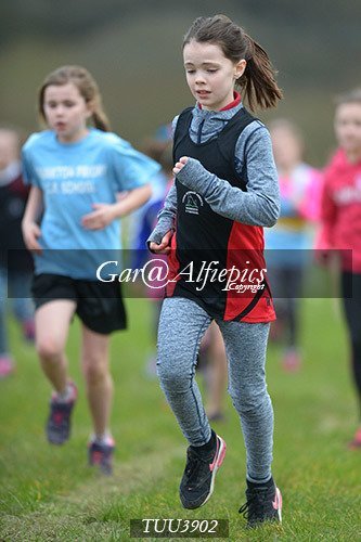 Dyfed Primary Schools Cross Country Year 4 Girls