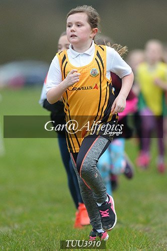 Dyfed Primary Schools Cross Country Year 4 Girls