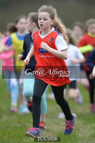 Dyfed Primary Schools Cross Country Year 4 Girls