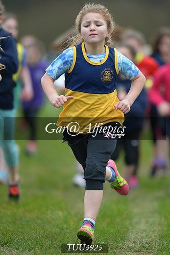 Dyfed Primary Schools Cross Country Year 4 Girls