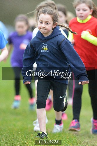 Dyfed Primary Schools Cross Country Year 4 Girls