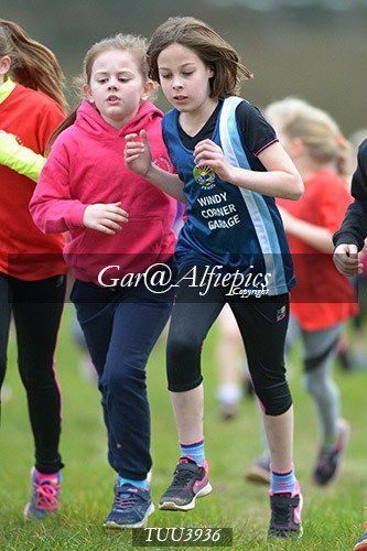 Dyfed Primary Schools Cross Country Year 4 Girls
