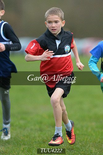 Dyfed Primary Schools Cross Country Year 4 Boys