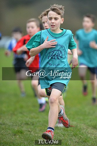 Dyfed Primary Schools Cross Country Year 4 Boys