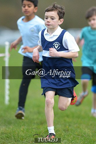 Dyfed Primary Schools Cross Country Year 4 Boys