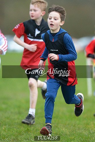 Dyfed Primary Schools Cross Country Year 4 Boys