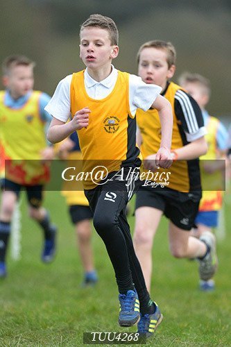 Dyfed Primary Schools Cross Country Year 4 Boys
