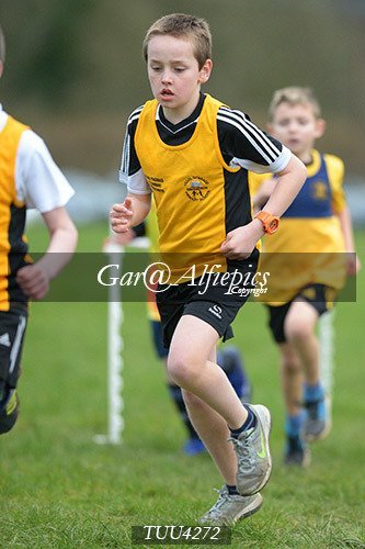 Dyfed Primary Schools Cross Country Year 4 Boys