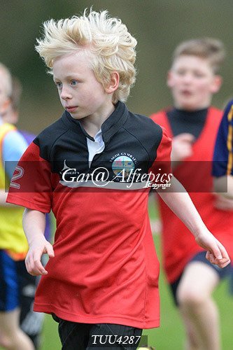 Dyfed Primary Schools Cross Country Year 4 Boys