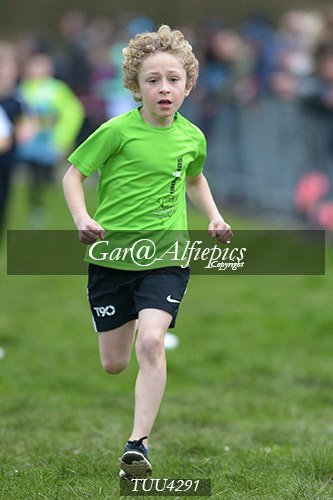 Dyfed Primary Schools Cross Country Year 4 Boys