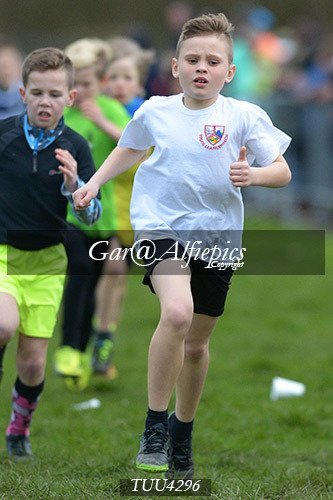 Dyfed Primary Schools Cross Country Year 4 Boys