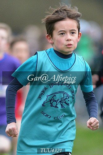 Dyfed Primary Schools Cross Country Year 4 Boys