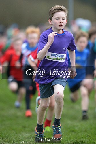 Dyfed Primary Schools Cross Country Year 4 Boys