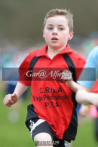 Dyfed Primary Schools Cross Country Year 4 Boys