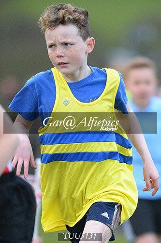 Dyfed Primary Schools Cross Country Year 5 Boys