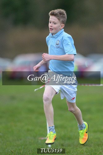 Dyfed Primary Schools Cross Country Year 5 Boys